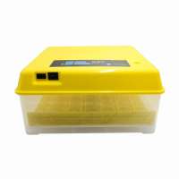 ALEX  patented mini incubator 48 chicken eggs incubator 12V version