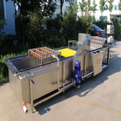 high pressure spraying bubble tomato apple vegetable fruit washing machine